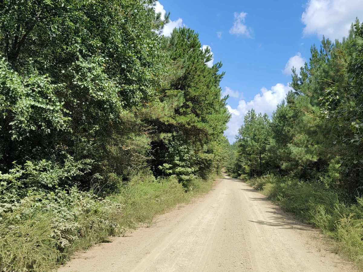 Cut Across to Gillham Road trail photo