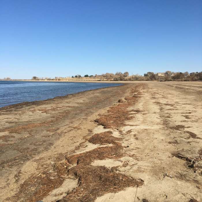 Near Standley Lake South Shore Outer Loop