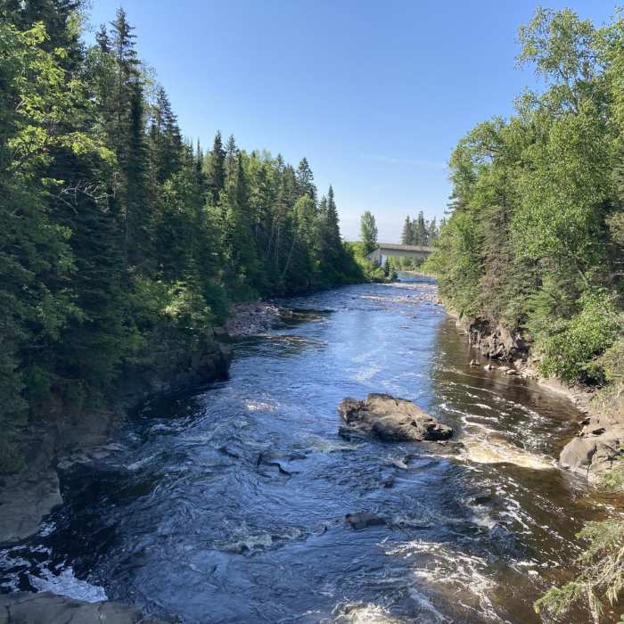 Near Devil's Kettle Trail Near Devil's Kettle Trail
