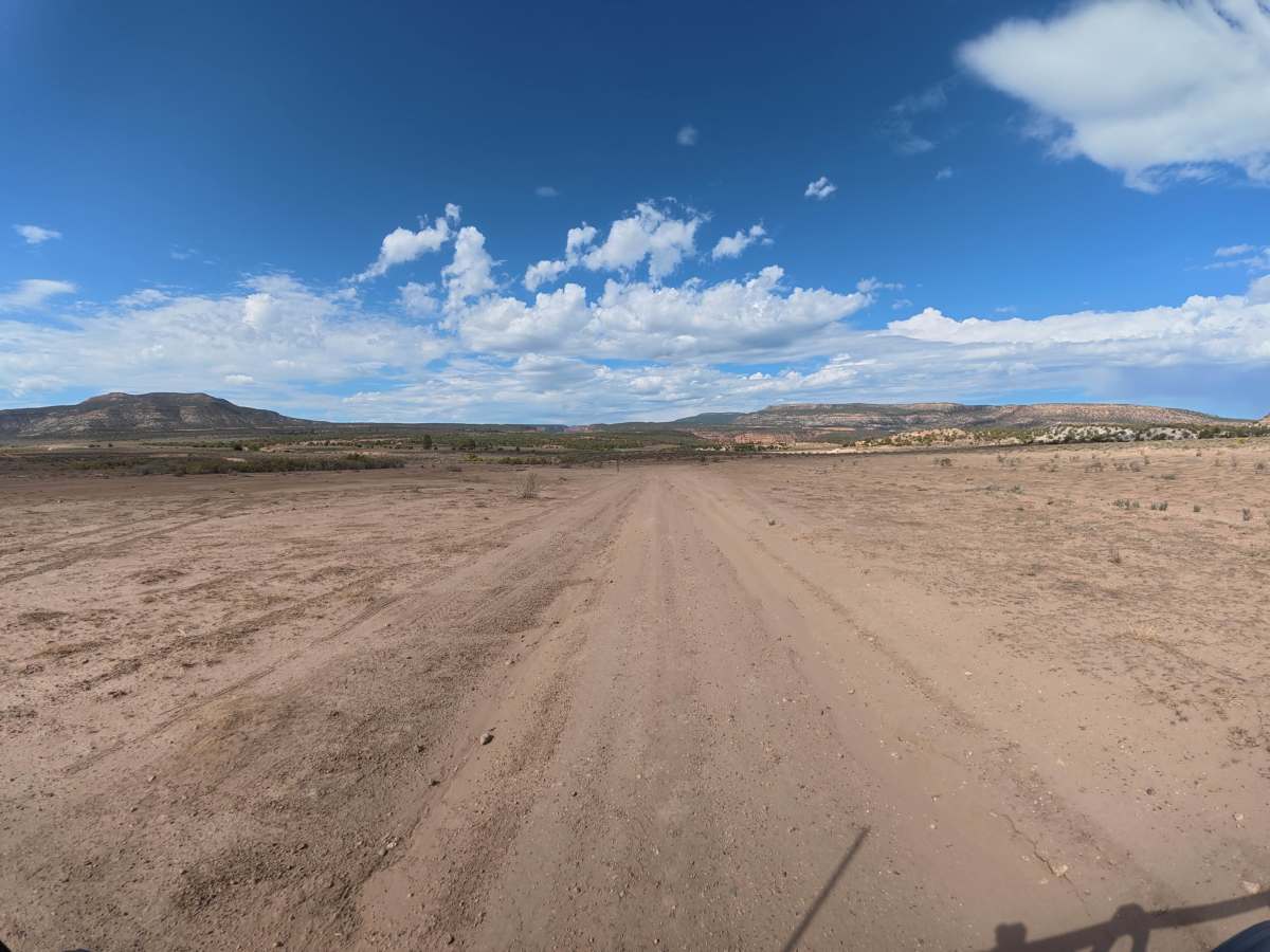 BLM 011 photo 2