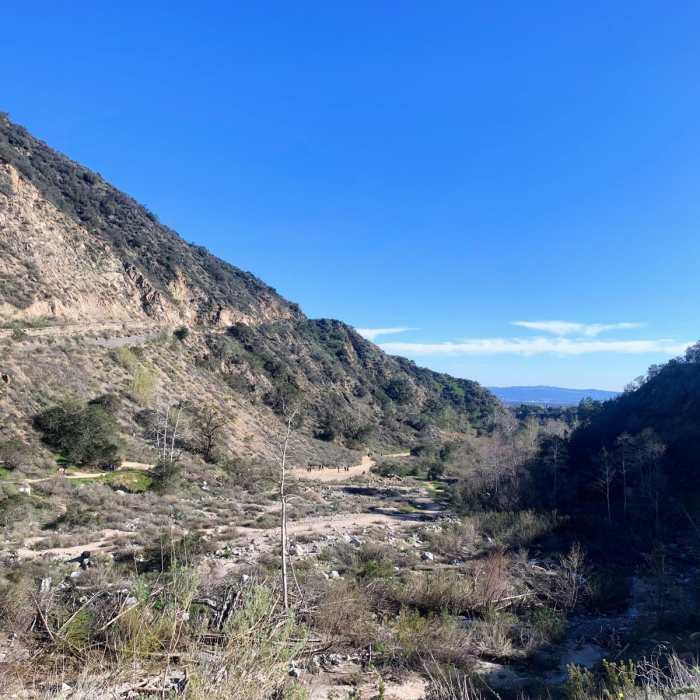 Near Mount Wilson Toll Road