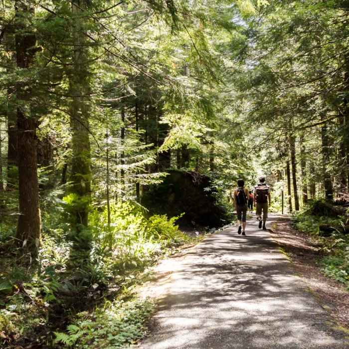 Near Big Four Ice Caves