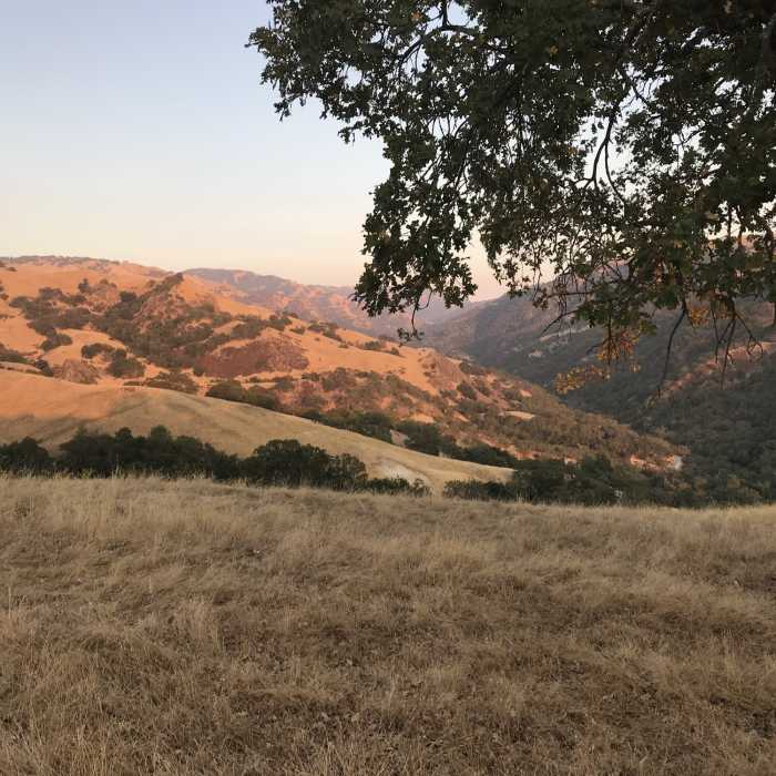 Near McCorkel Trail To Stars Rest Campground