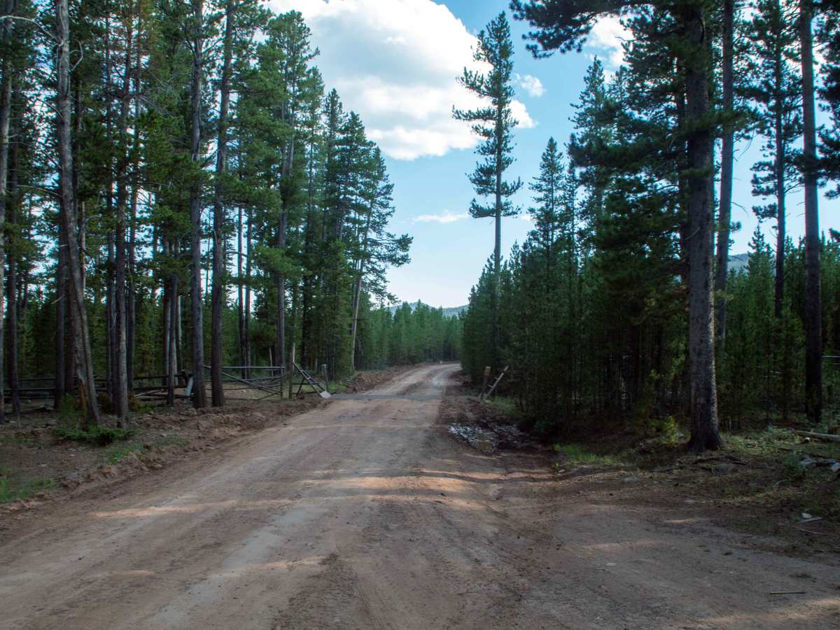 Oaks Park - FS 10024 photo 5
