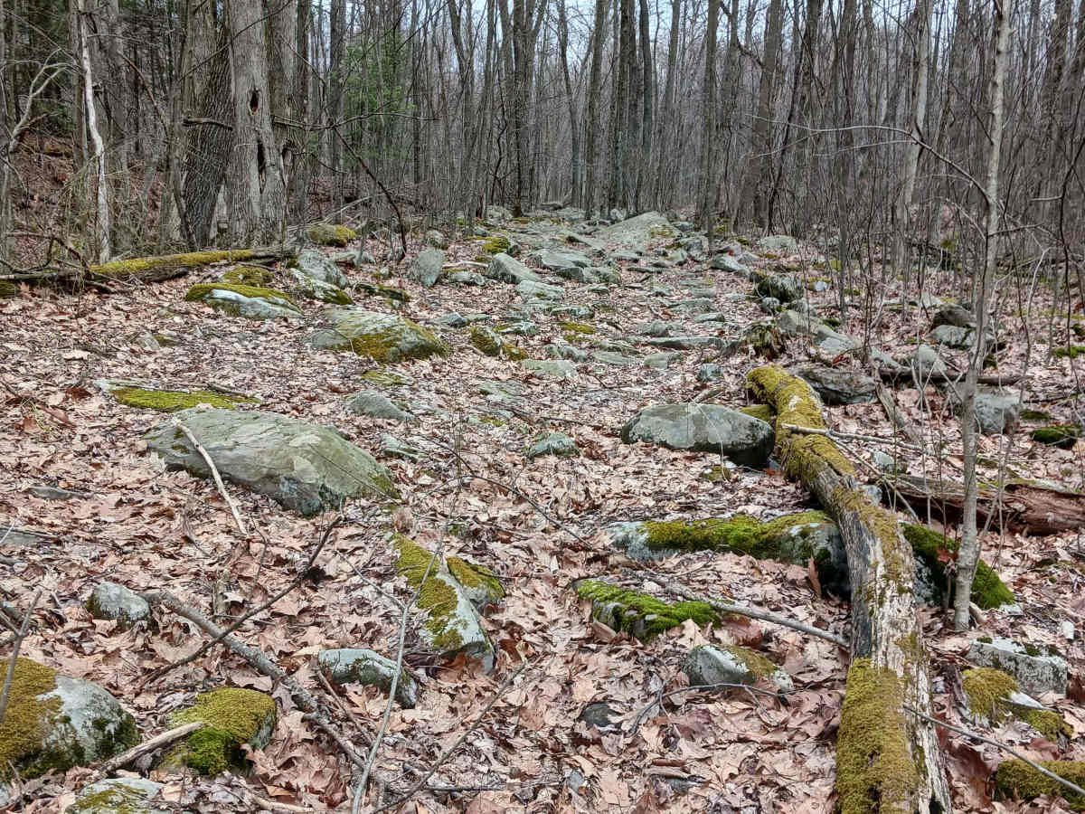 OHV 60 - Rock Run Recreation Area photo 4