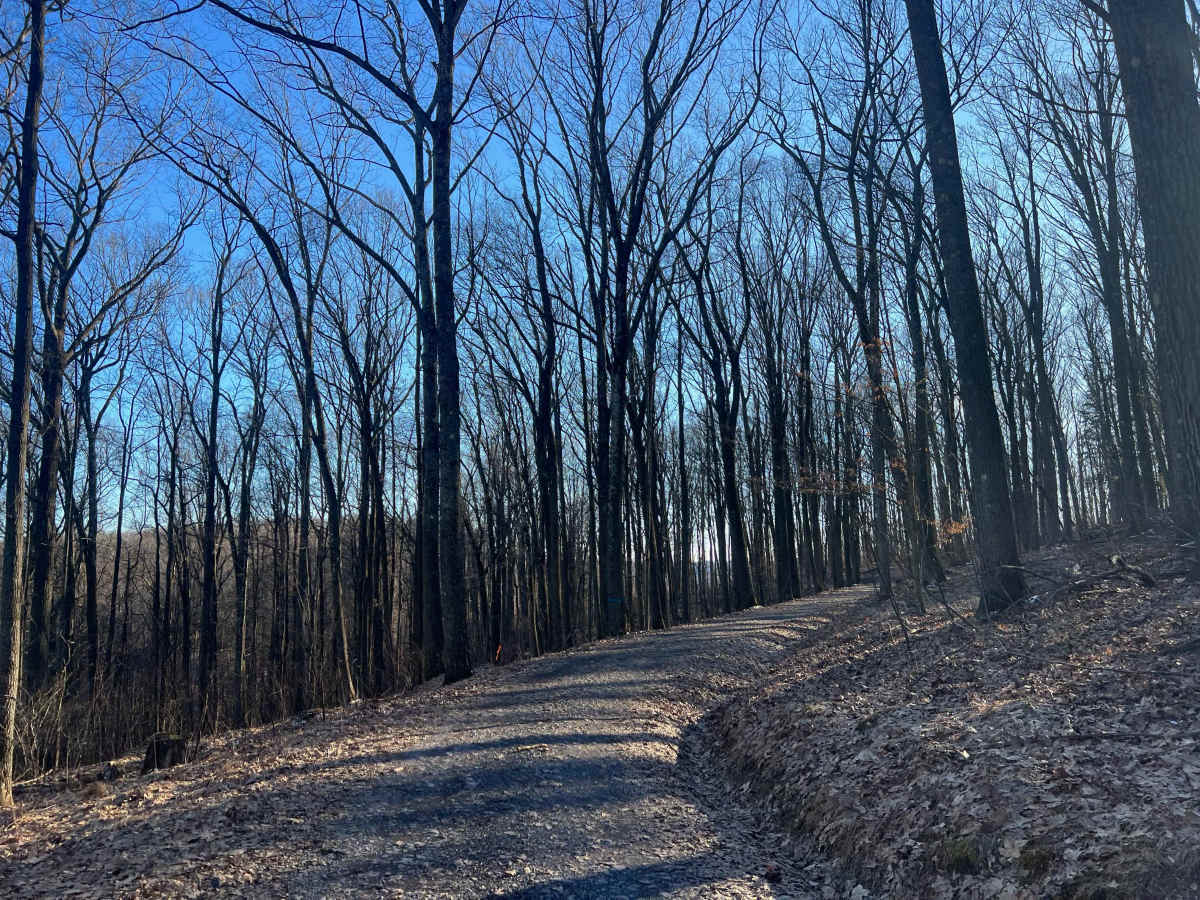 Evans Fire Road photo 3