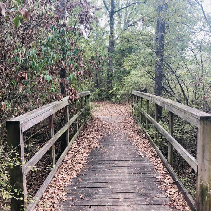 Bridge on Buzzard Point Loop Trail Near Buzzard Point Trail