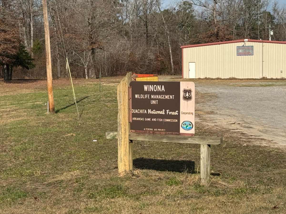 North Fork Road/Trail 86 photo 2