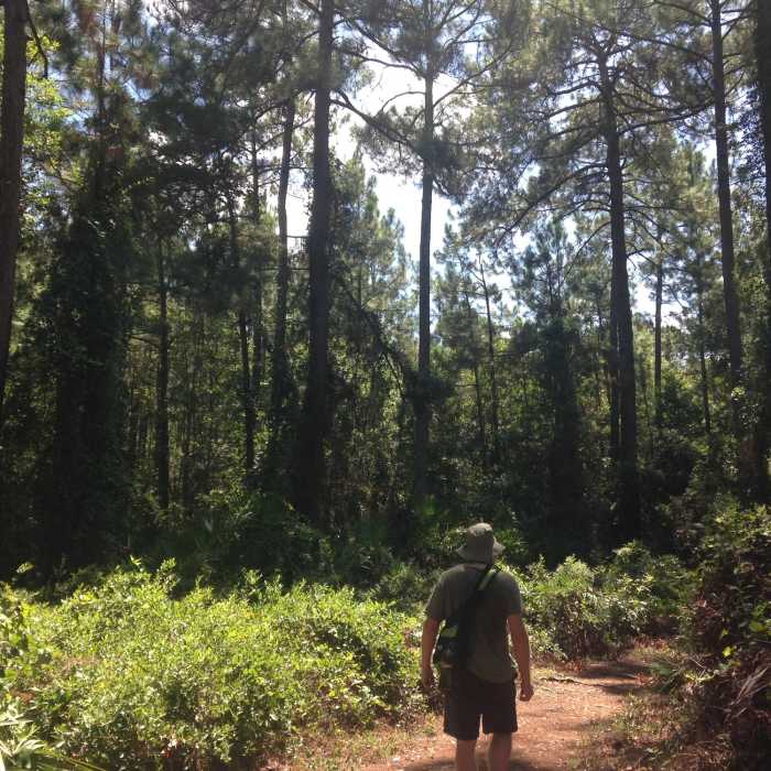 Stopping to observe the surroundings Near Fort Caroline Trails