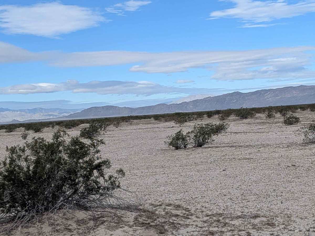 BLM 345 photo 6