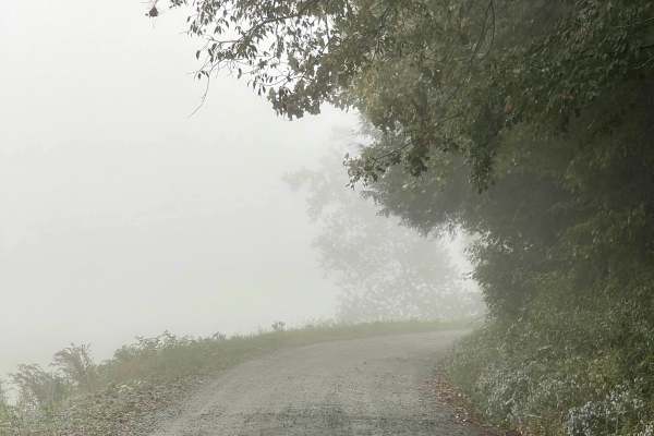 Watauga River Road