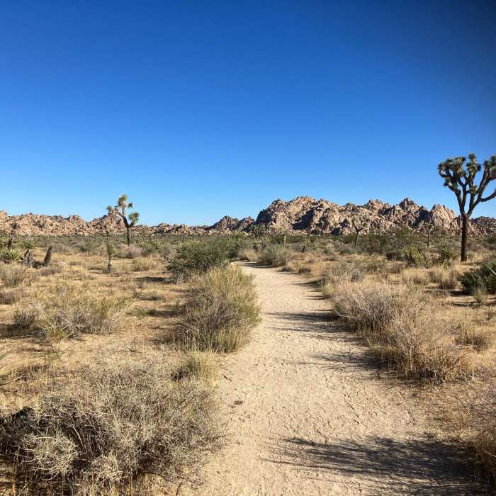 Near Indian Cove to Willow Hole