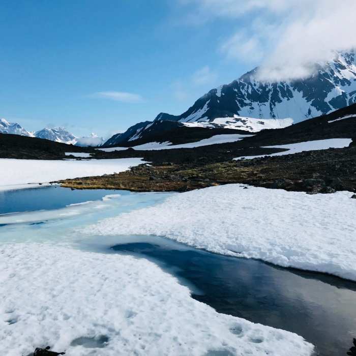 Near Crow Pass Trail to Crow Pass Cabin Near Crow Pass Trail to Crow Pass Cabin