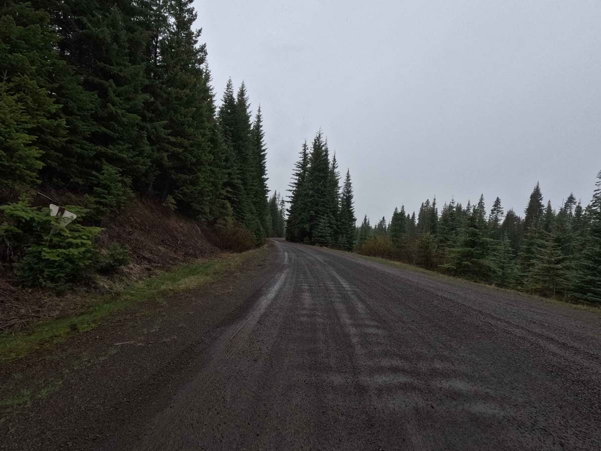 Palmer Junction - FS 6231 photo 2