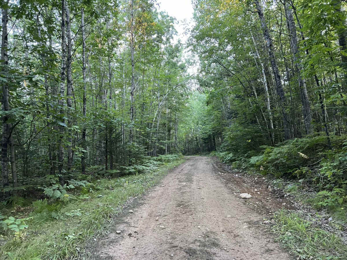 Forest County ATV/SXS 8 Mile Loop Trail 3 photo 4