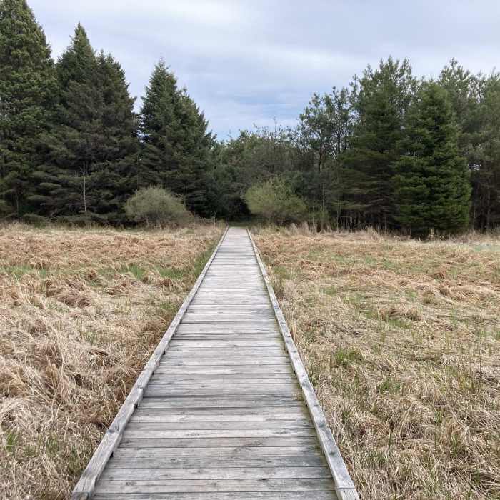 Near Ancient Shores Trail Near Ancient Shores Trail