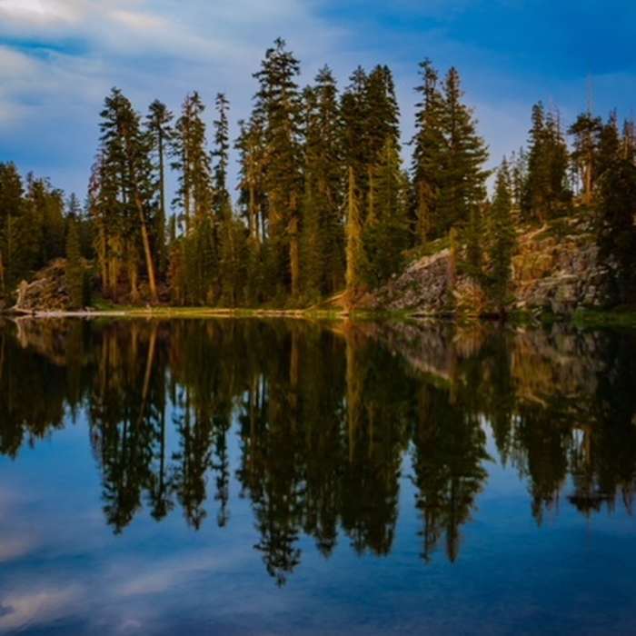 Brushed In by Darren Marshall Near Crystal Lake Trail