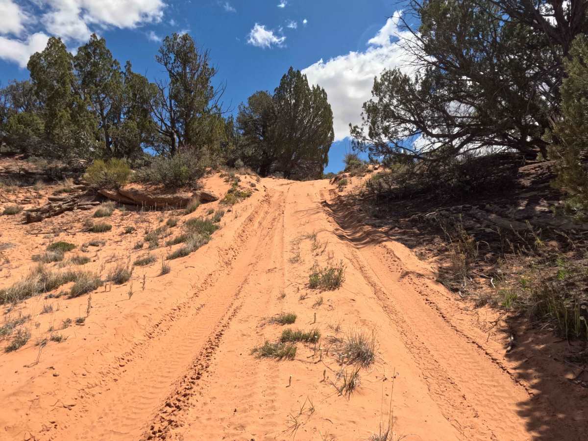 BLM 101F photo 4