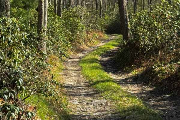 Dishpan Hollow Road