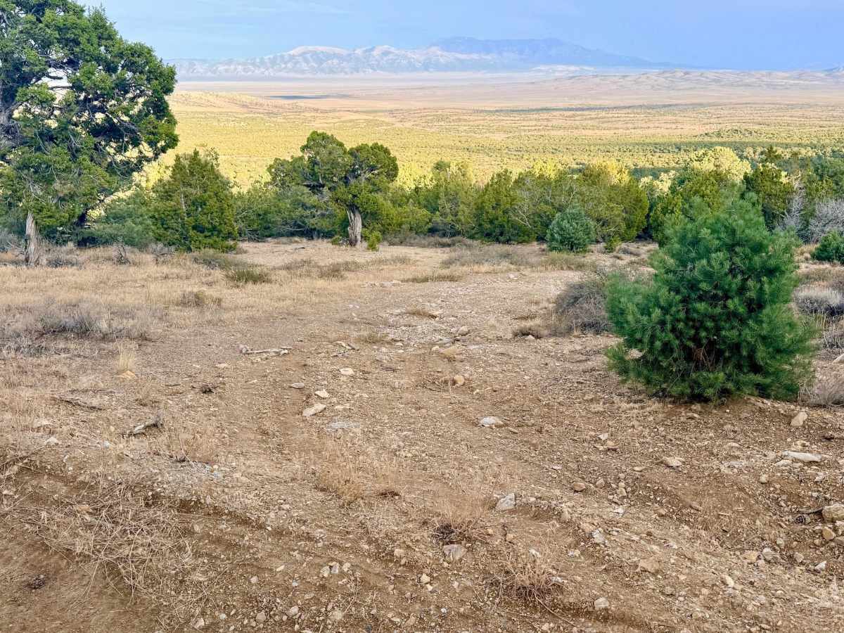 Warm Springs Southwest Loop - FS 17546 photo 4