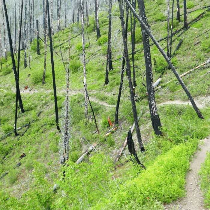 Near Warm Springs Trail