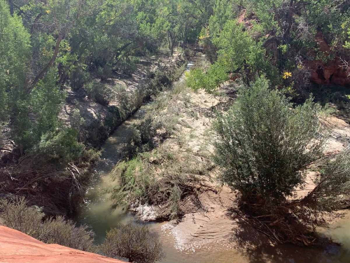 Poverty Gulch Slick Rock/Petroglyphs photo 2