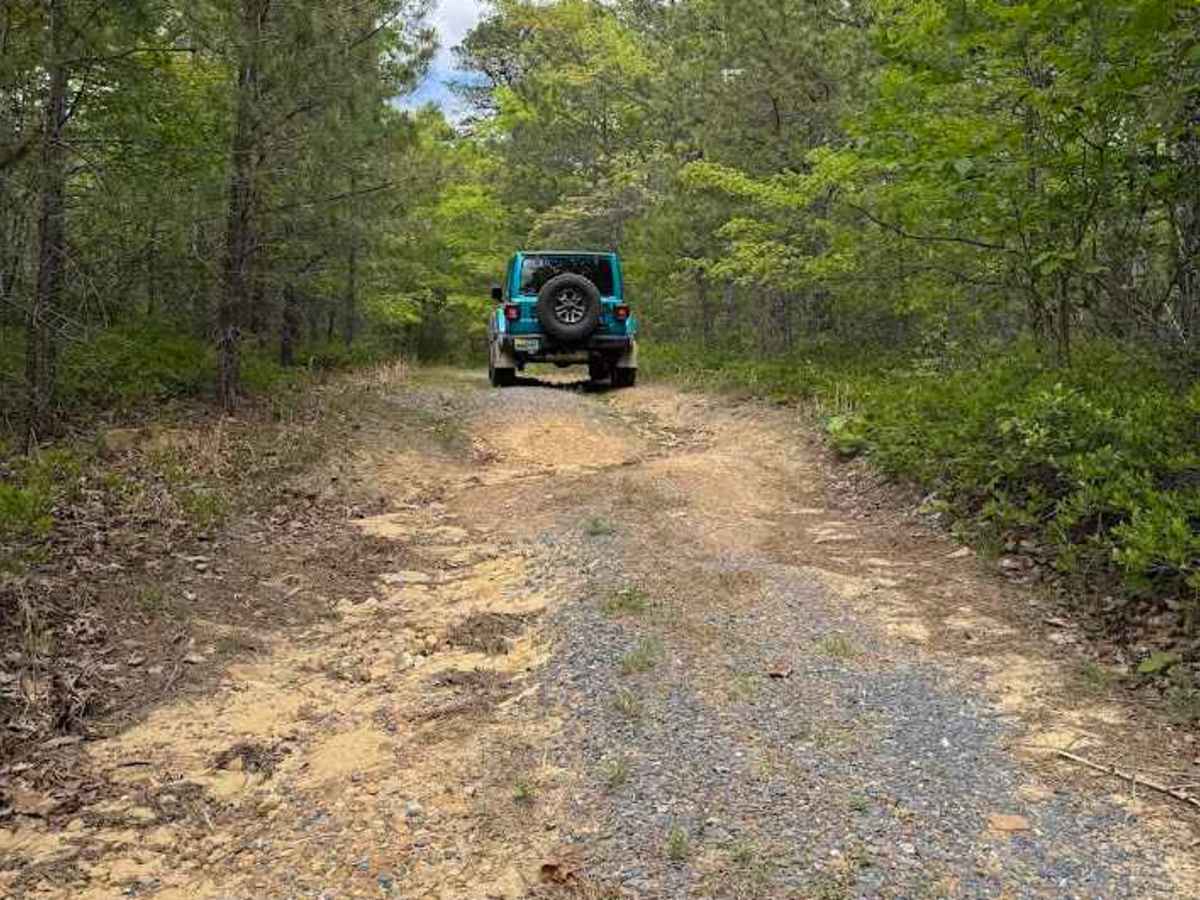 Walker Mountain photo 6