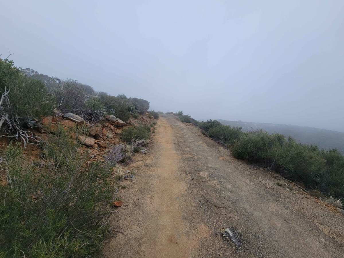Palomar Divide (9S07) photo 6