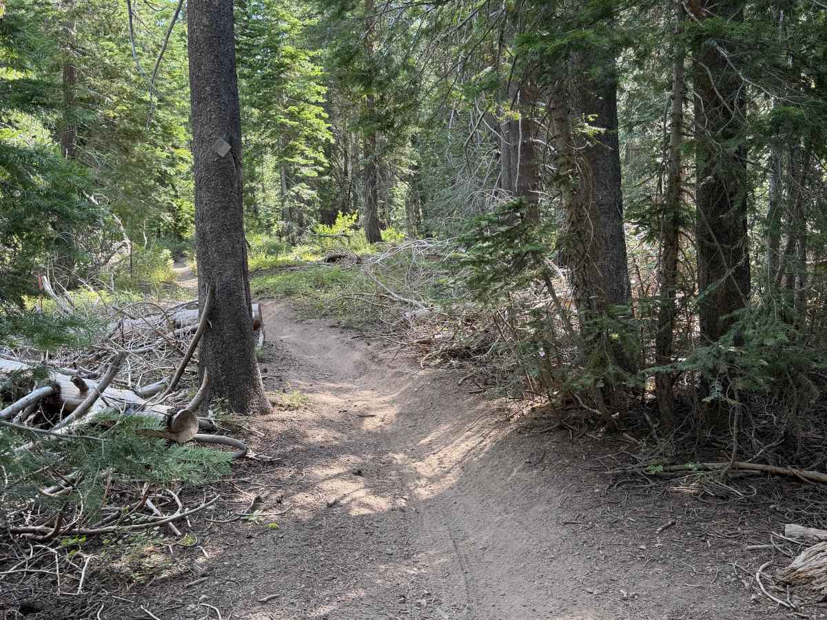 Upper Cena Lar Trail photo 4