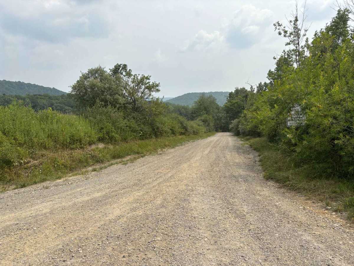 Southwoods Road photo 4