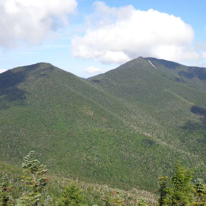 Near South Dix