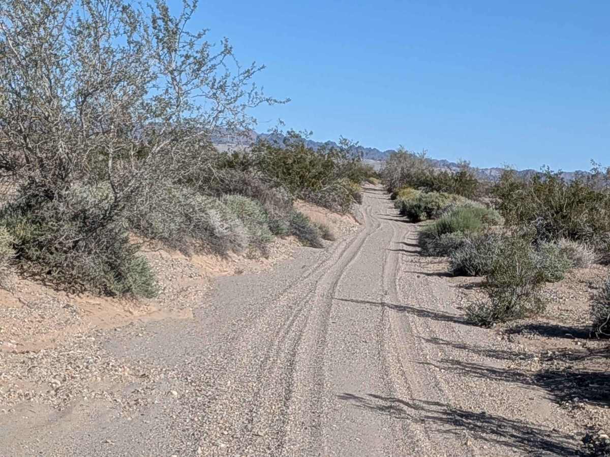 BLM 619 photo 3