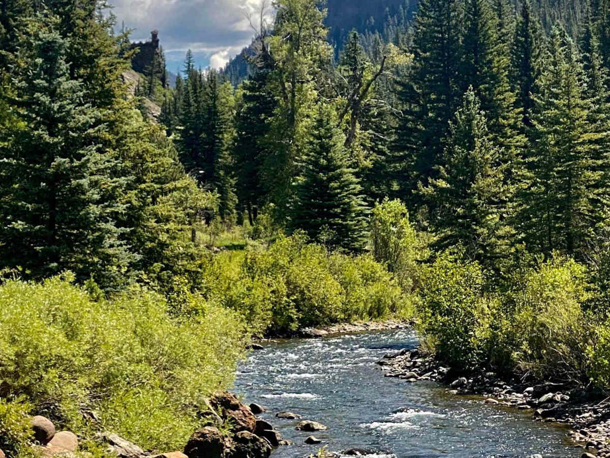 Lower Section of East Fork San Juan River Rd-Fr 667 photo 4