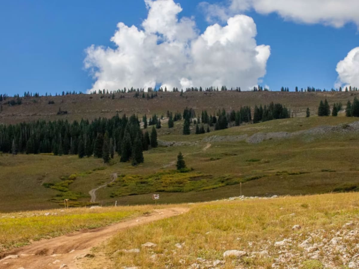 Blair Mountain - FR601 photo 6