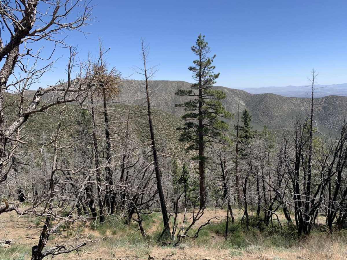 Gobblers Knob Spur A photo 2