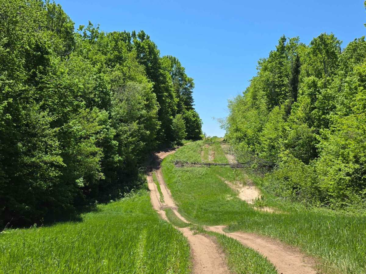 Pipeline Pass photo 6