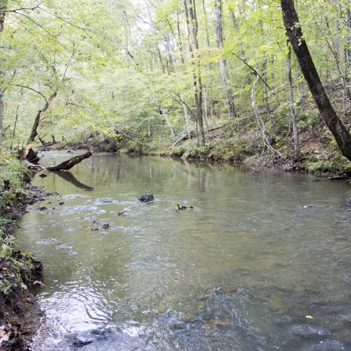 When you hike in from the parking area on the Robin's Trail, take a short spur on the left to a beautiful creek overlook with bench. It's a great place to think and rest! Near Johnston Mill Loop