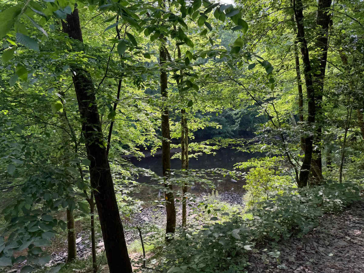 Cotton Place - FS 555 photo 5