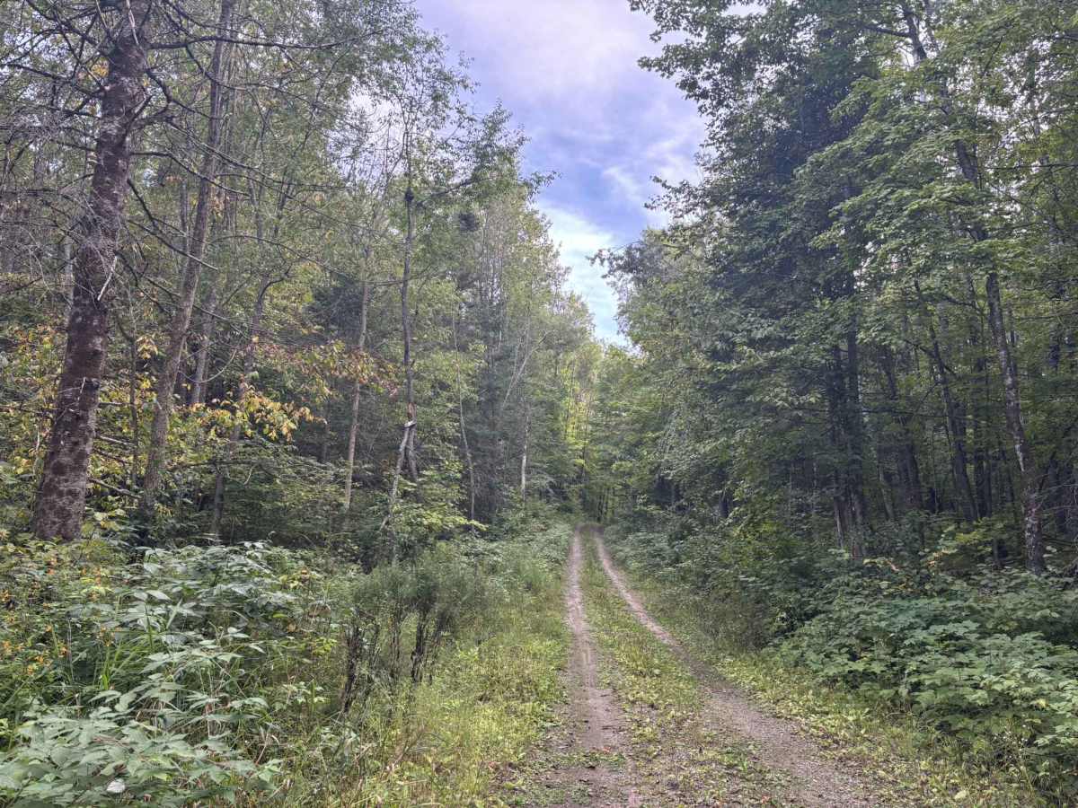 FS 2233 trail photo
