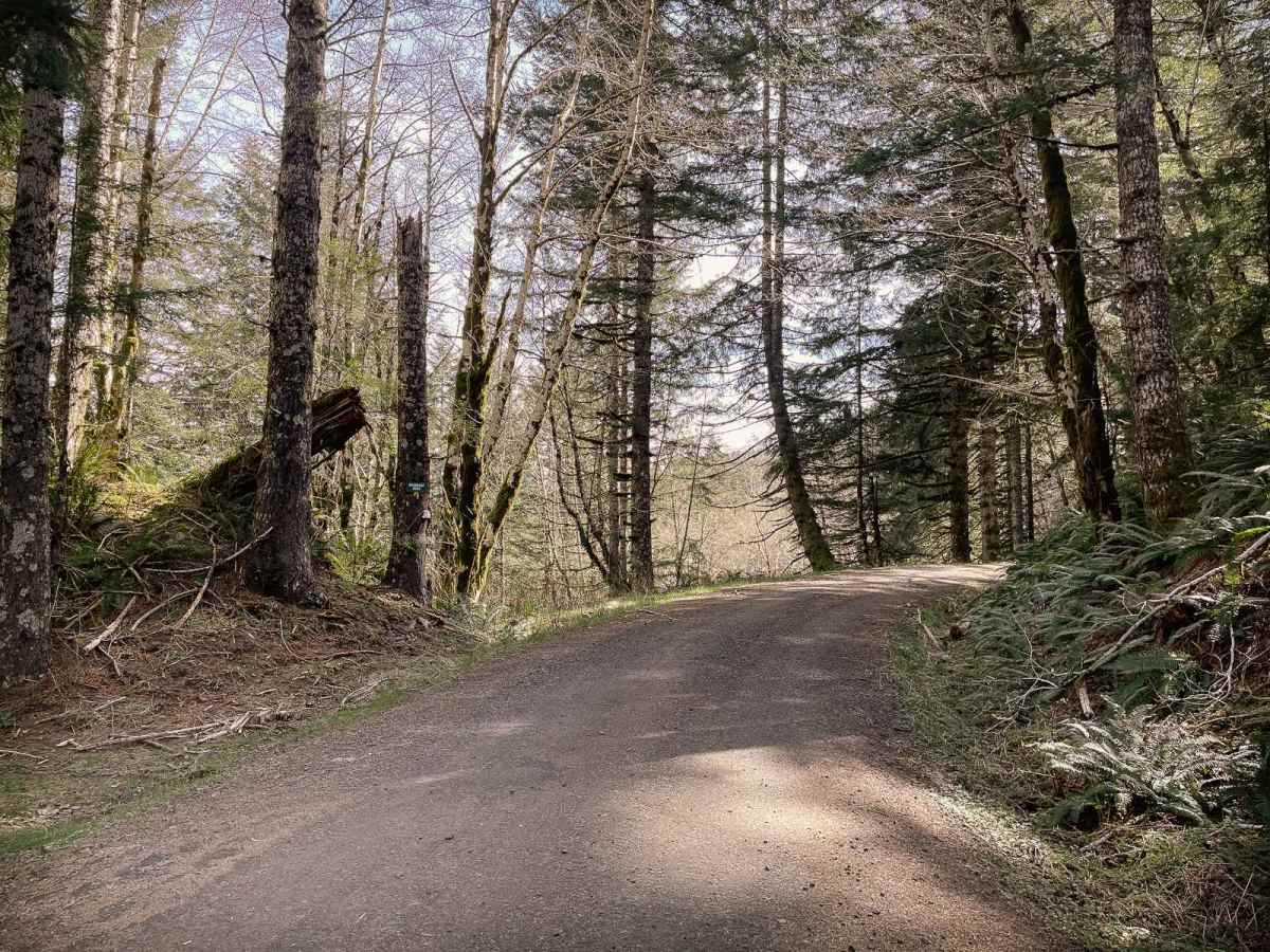 Boundary Road photo 2