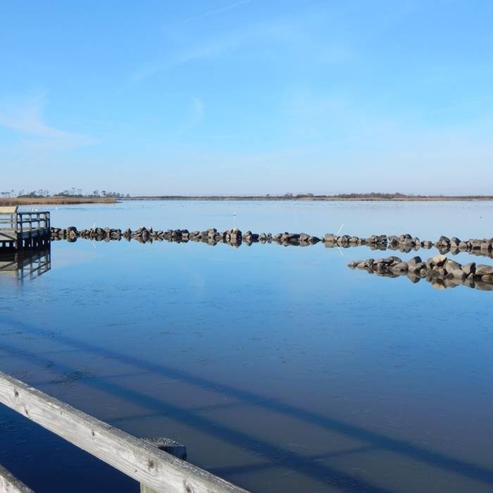 Near Sunset Point Overlook Trail