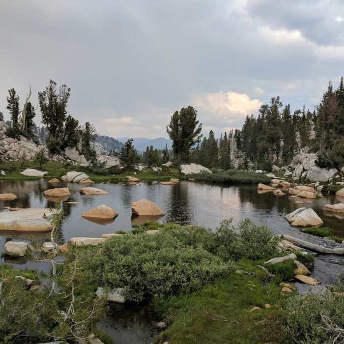 Near Goodale Pass Trail #28E20