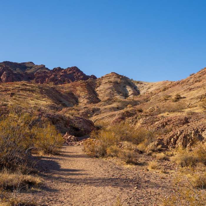 Near River Mountain Trail