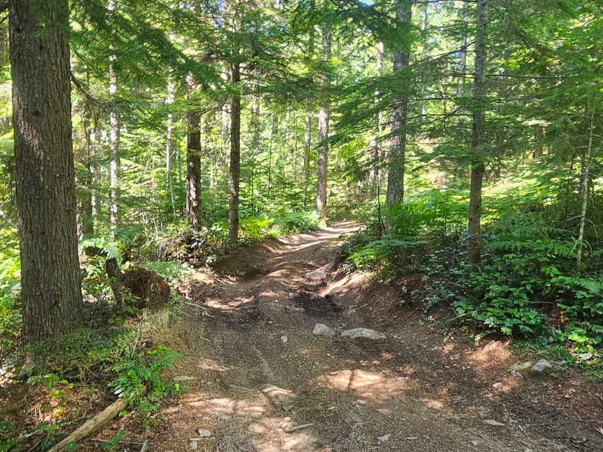 Swamp Trail photo 2