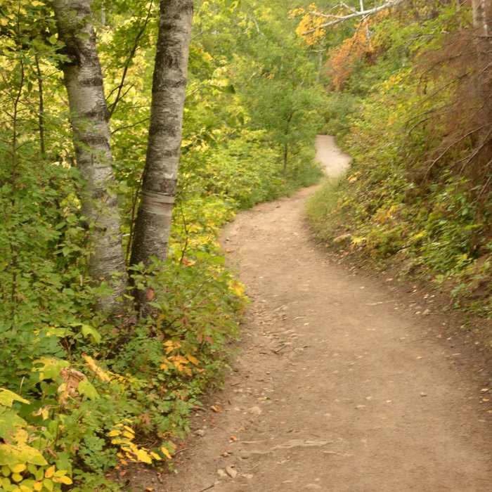 Near Roughlock Falls Trail Near Roughlock Falls Trail