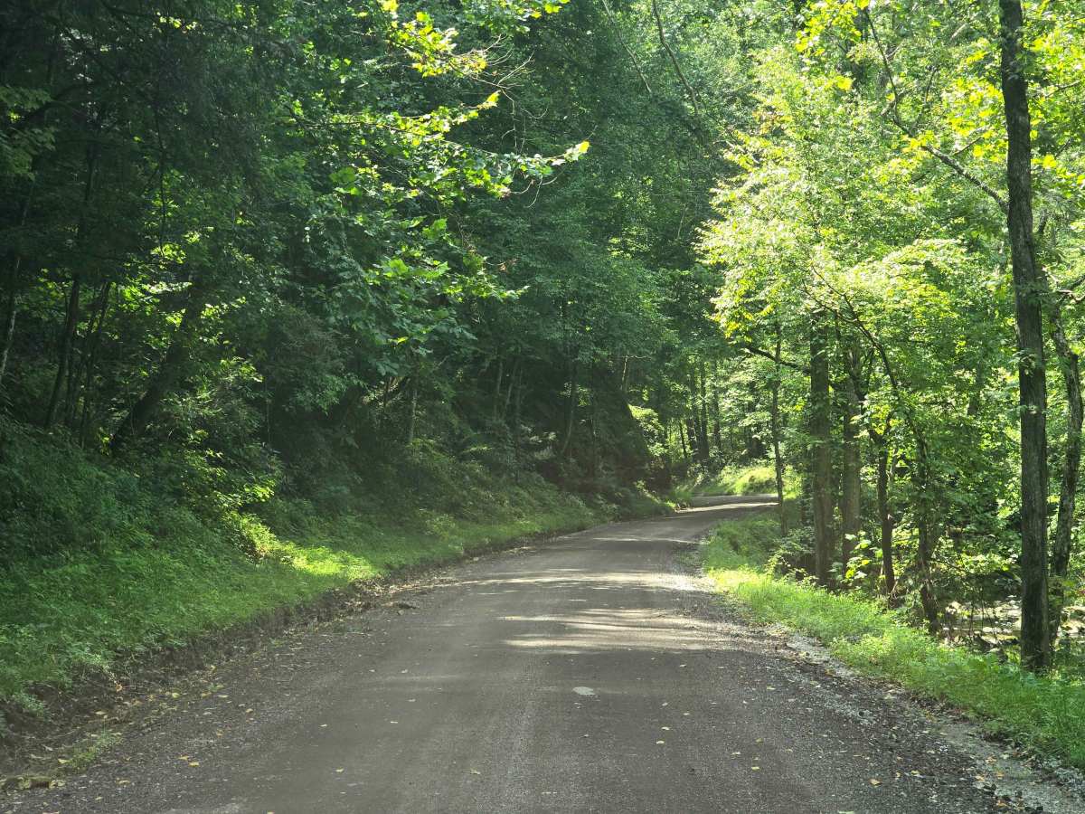 O & W Road photo 3
