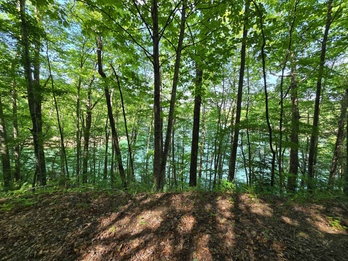 Bear Paw Road photo 3