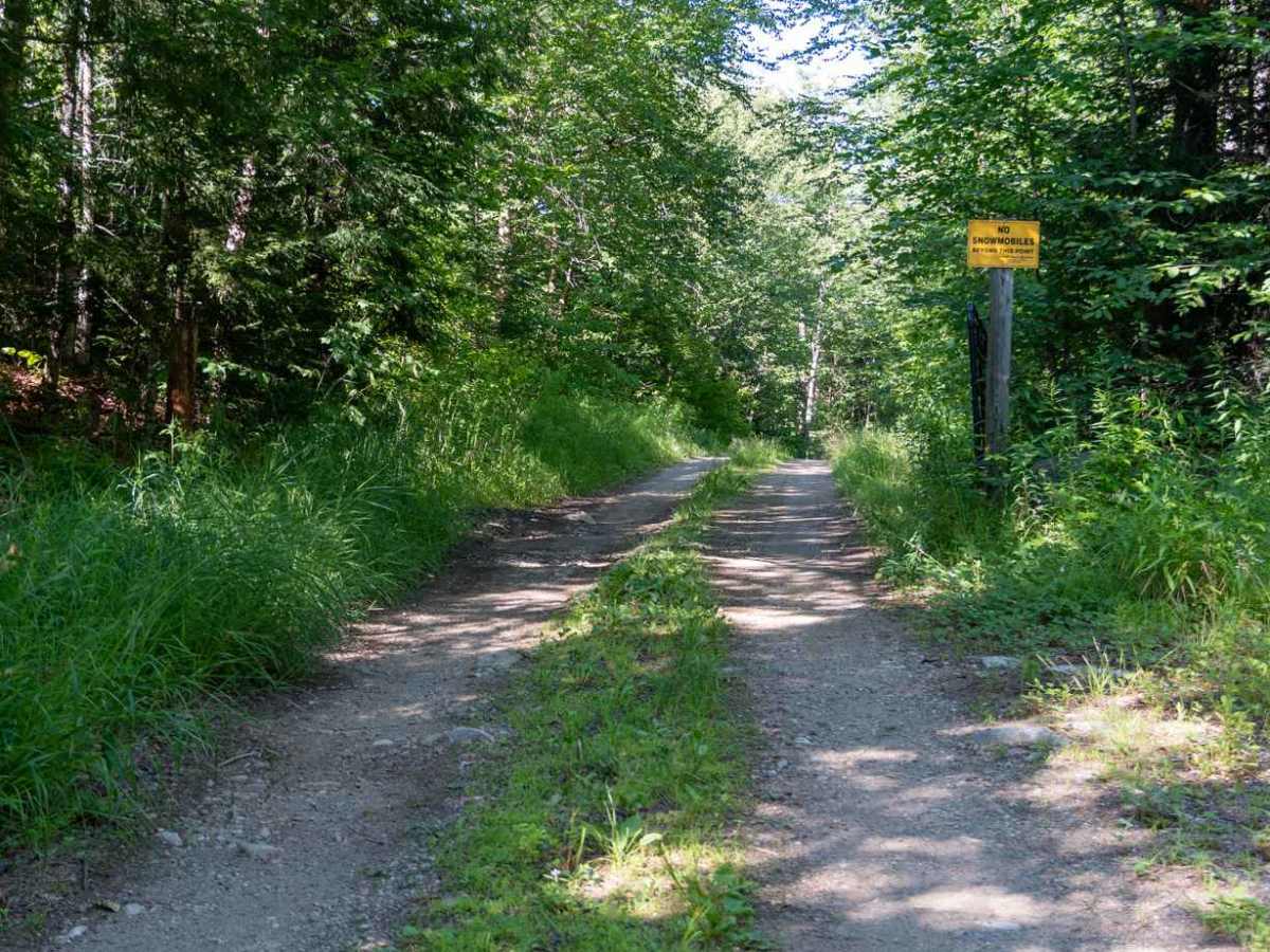 Robbs Creek Road trail photo
