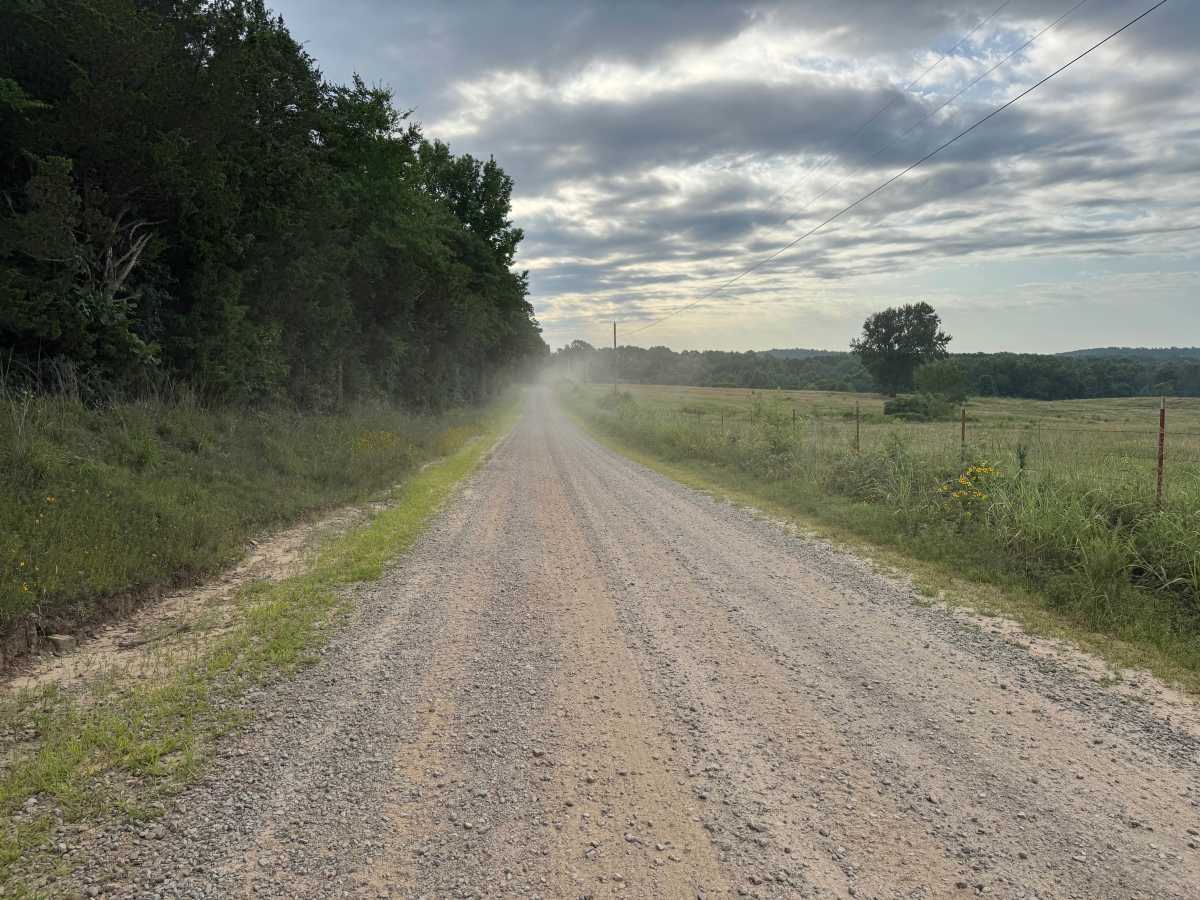 County Road 4418 photo 2