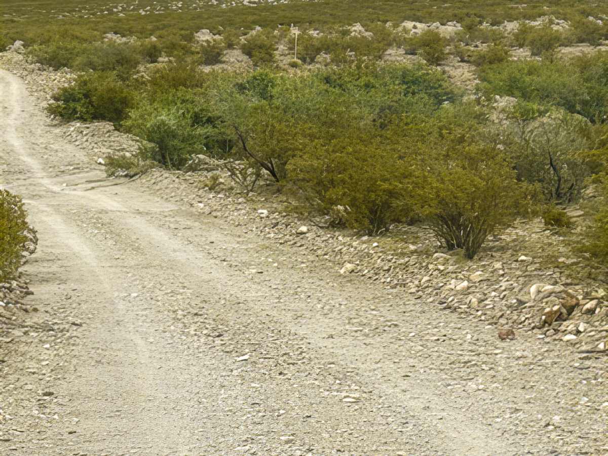 Ss1127 photo 5